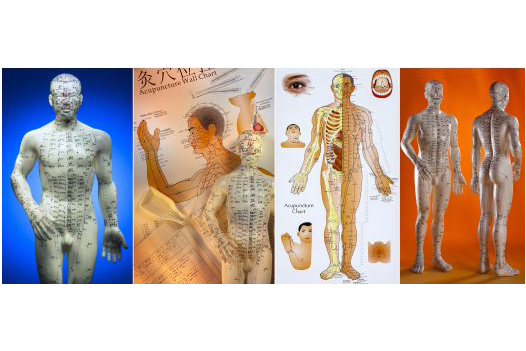 Traditional Chinese Medicine (1)-16pr