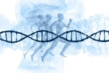 Innovative Stem Cell therapeutic method