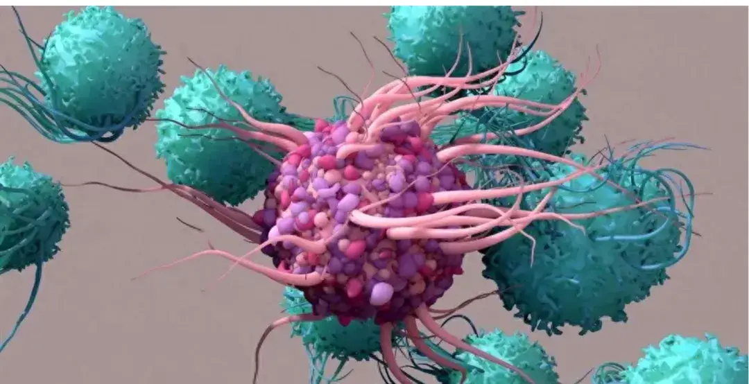 New Hope for Cancer Patients: Harvard Team Develops DC Super-Activator Vaccine