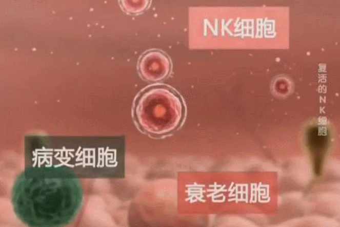 Advanced Neurotrophic factor therapy