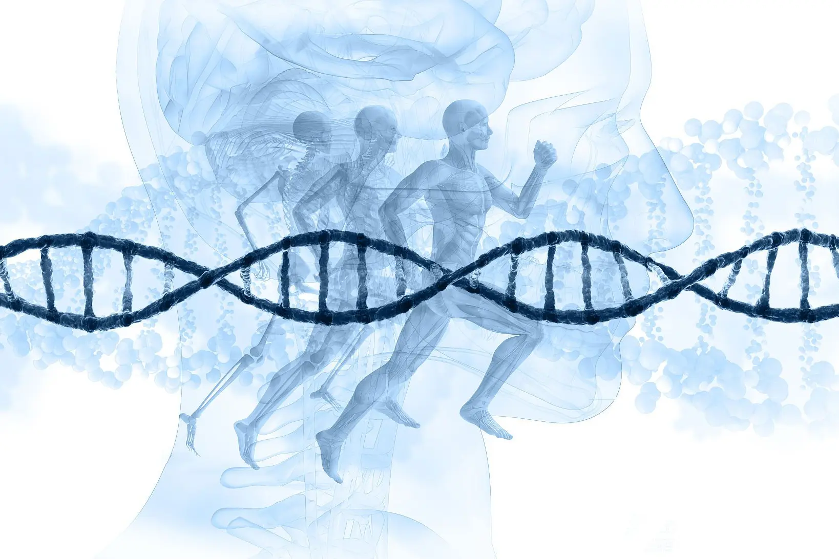 Innovative Stem Cell therapeutic method